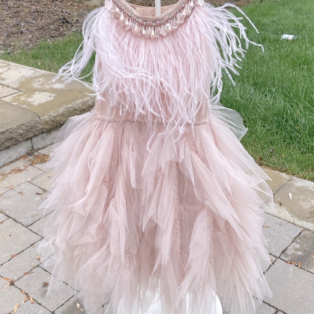 Gorg tutu du monde swan queen dress in blush pink